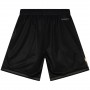 Pantalon Corto Mitchell & Ness Nba Big Face 4.0 Fashion Shorts Boston Celtics