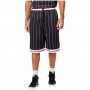 Pantalon Corto Fubu Varsity Pinstriped Mesh Shorts