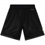 Pantalon Corto Mitchell & Ness Nba Big Face 4.0 Fashion Shorts Philadelphia 76Ers