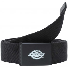 Cinturon Dickies Orcutt Fwebbing Belt