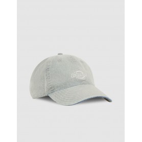 Gorra Dickies Dad Cap Denim