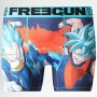 Calzoncillos Freegun DBZ Blue Super Saiyan Duo