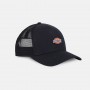 Gorra Dickies Hanston Trucker