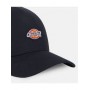 Gorra Dickies Hanston Trucker