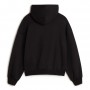 Sudadera Vans Outer Ring Retro Hoodie