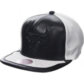 Gorra Mitchell & Ness Day One Snapback Chicago Bulls