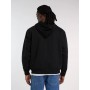 Sudadera Dickies Aitkin Zt Hoodie