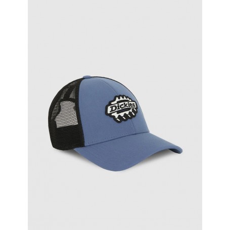 Gorra Dickies Irondale Trucker Cap