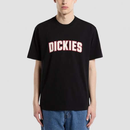 Camiseta Dickies Aitkin Ss Tee