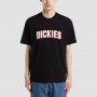 Camiseta Dickies Aitkin Ss Tee