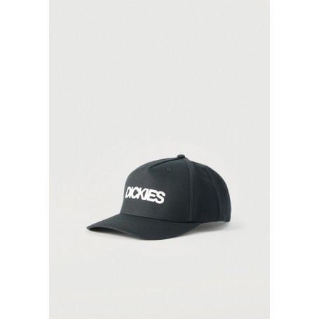 Gorra Dickies Torrey Snapback Cap