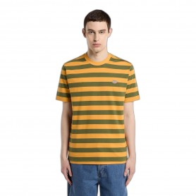 Camiseta Dickies Rivergrove SS Tee