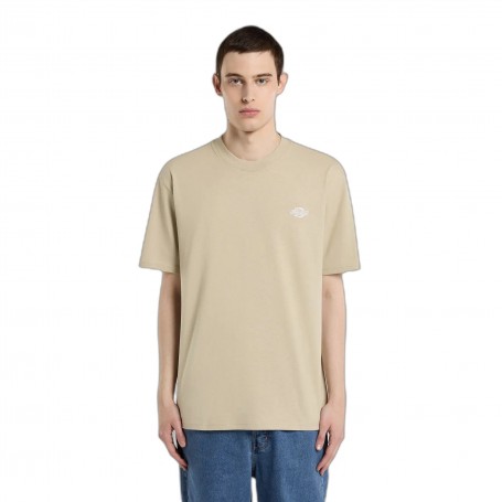 Camiseta Dickies Summerdale SS Tee