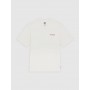 Camiseta Dickies Fairlawn Ss Tee