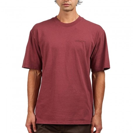 Camiseta Dickies Plentywood SS Tee