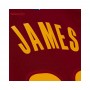 Camiseta Mitchell & Ness NBA Road Swingman Jersey Cleveland Cavaliers 2015 Lebron James