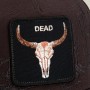 Gorra Goorin Bros Badlands Skulls