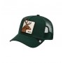 Gorra Goorin Bros The Line Buck