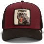 Gorra Goorin Bros Strengh Panther