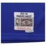 Mitchell & Ness Swingman Jersey Charles Oakley 34 1991-92